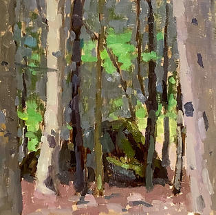 Grandfather 9x12 oil on board plein air.JPEG