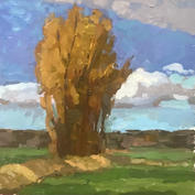 mirabel clouds and tree 8x8 op.jpeg