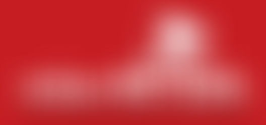 RTS Donation Form