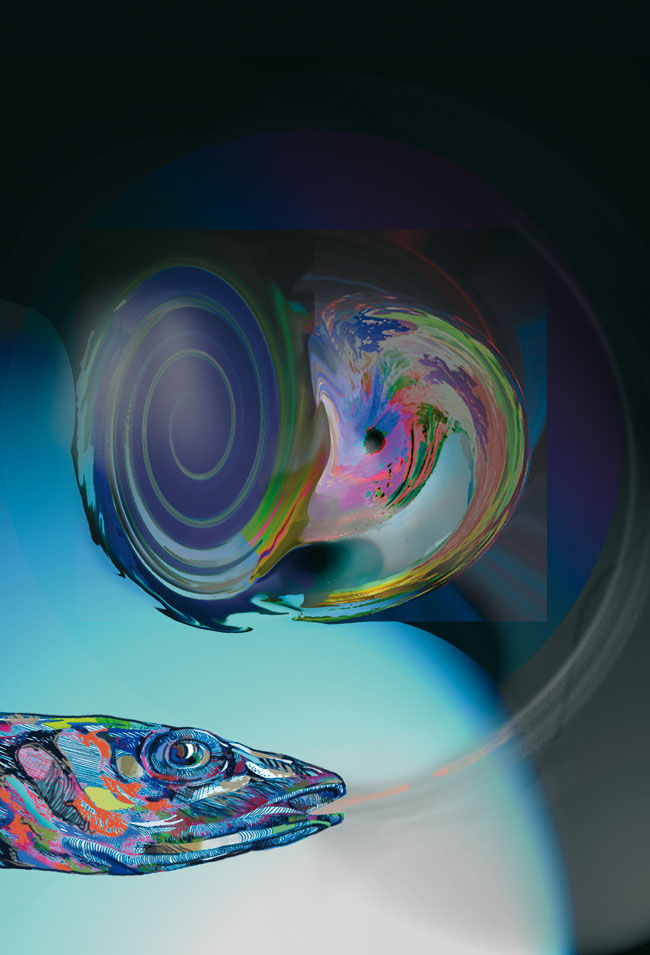 Cosmos
