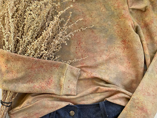 The Foraged Buckthorn Marina Sweatshirt