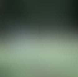 Mountain Senior Photos | Silver Lake Utah | Salt Lake City Senior Photographer