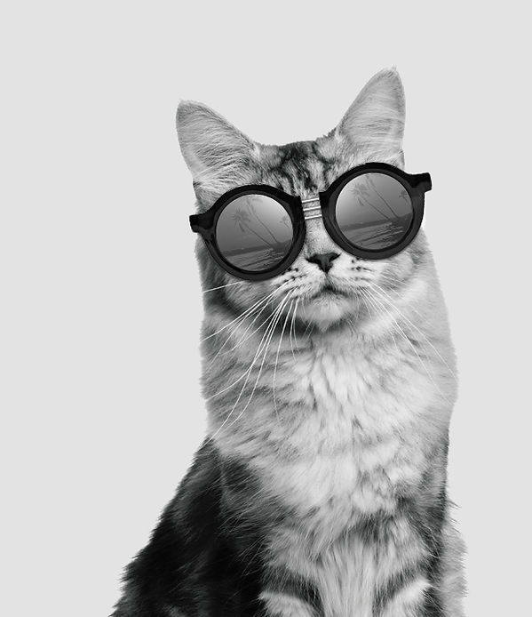 Perfeição no olhar: estilo que se nota de longe