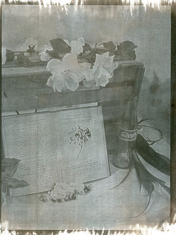 Cyanotype