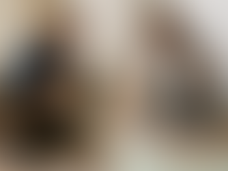 Vergleich zwischen Handwerker und Heimwerker bei der Renovierung in Mainz