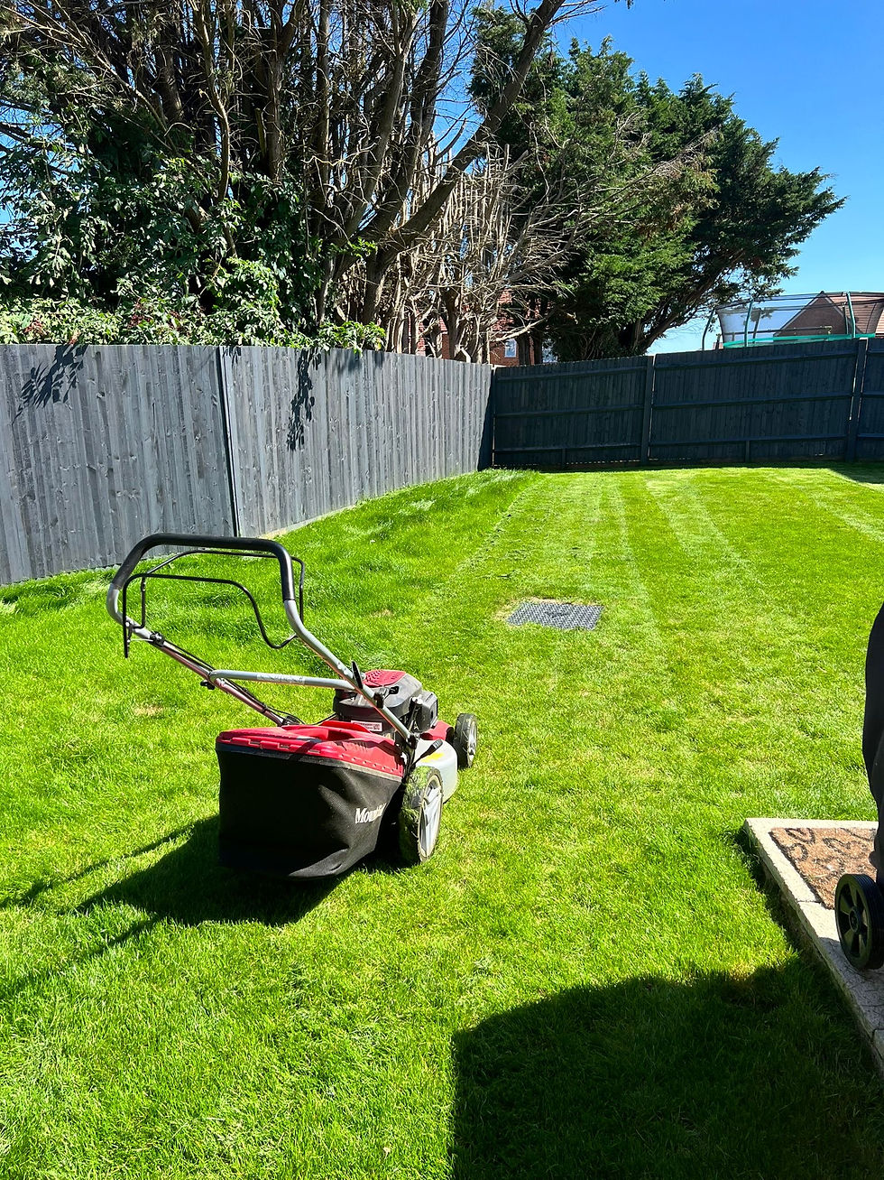 Gartenpflege