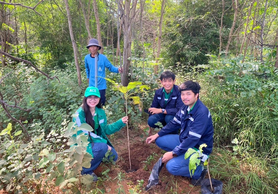 Employees planting a tree together in a wooded area