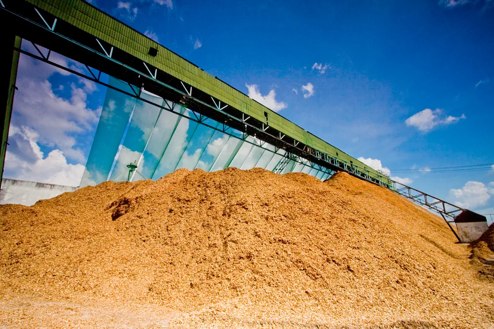 Woodchip storage facility supporting AAF raw-material supply continuity