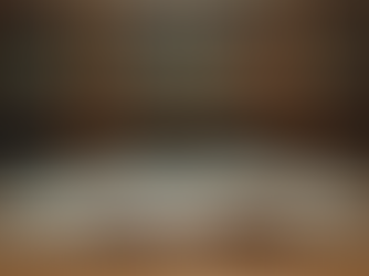 Affordable Law Courses for Aspiring Litigators