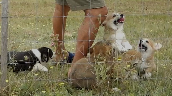 Capture d’écran 2023-07-26 115929_edited