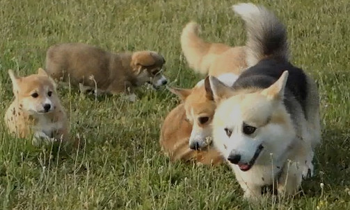 Capture d’écran 2023-07-26 120745_edited