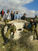 Shalom from Israel's Journey