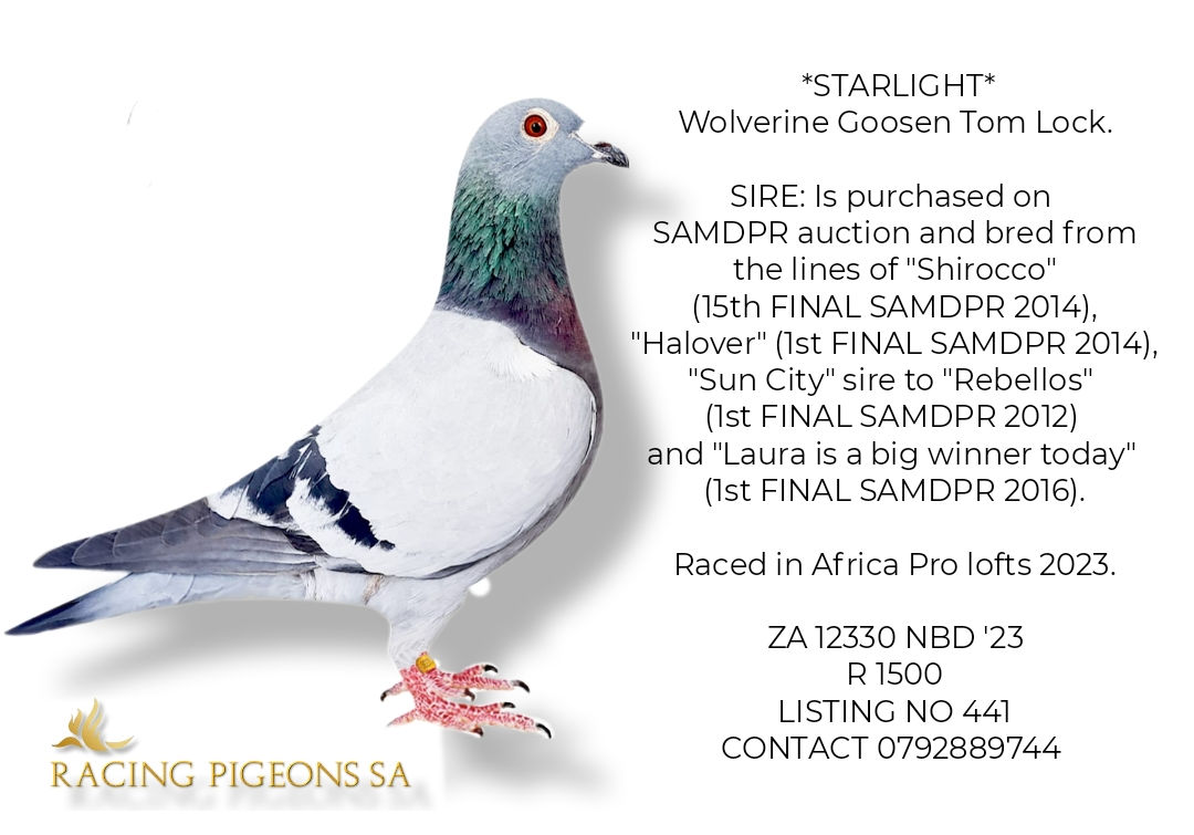 No 441 - Wolverine Goosen Tom Lock