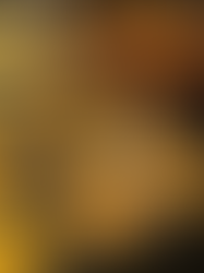 Egg Bites Recipe and Cooking Tips!