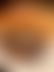 BBQ shredded chicken sandwich with homemade slaw.