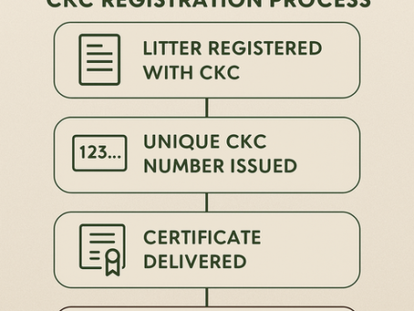 CKC Puppy Registration in Ontario: What It Means & Why It Matters