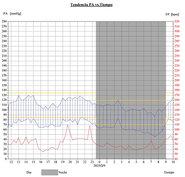 Resultado de una presurometria