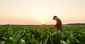 The Farmer's Approach to Leadership