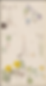 MoMA - Hilma af Klint: What Stands Behind the Flowers