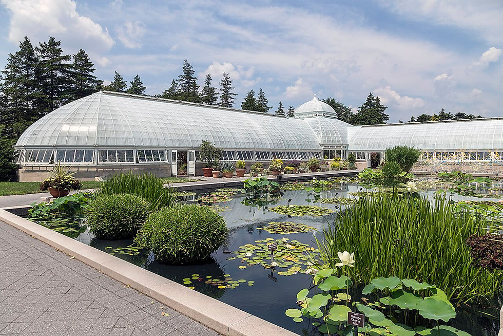 Enid A. Haupt Conservatory and reflecting pool at the New York Botanical Garden in the Bronx. Photograph by Acroterion, CC BY-SA 4.0.