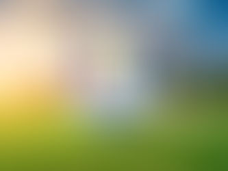 Private Transportation to the 2025 Ryder Cup in NYC