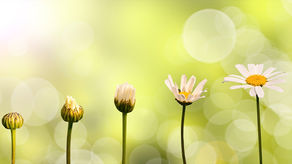 Strategic Actions Today for Future-Ready Business