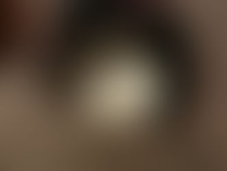 Il calore e il "Lupo"