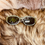 Thumbnail: VIOLET FASHION SUNNIES