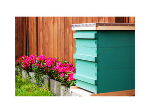 Buzzing in the Burbs: Beekeeping in Suburban Settings