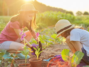 Homesteading Guide: Spring Planting for USDA Zones 4-9