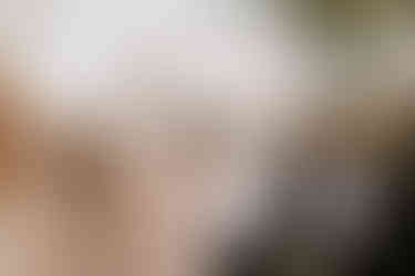 weding party screaming with joy in cactus garden