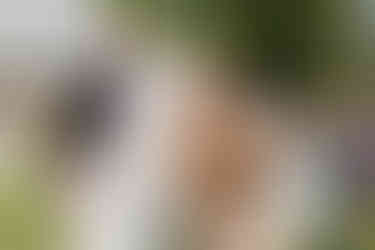 bride kisses her moms cheek  at the end of the aisle at backyard home wedding