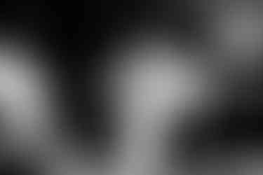 bride and groom dancing the night away