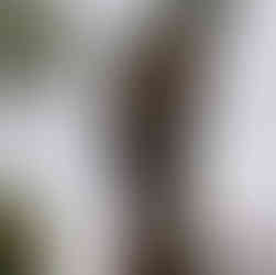 Eureka Springs Crescent Hotel Elopement Photographer