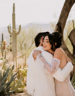 bride and groom first look in cactus garden