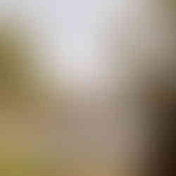 intimate wedding outdoor setup