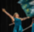 OIPA 2025 - Finals - Norton HS Varsity Winter Guard-67_edited.jpg