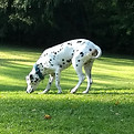 IMG_20171018_090204427_edited.jpg