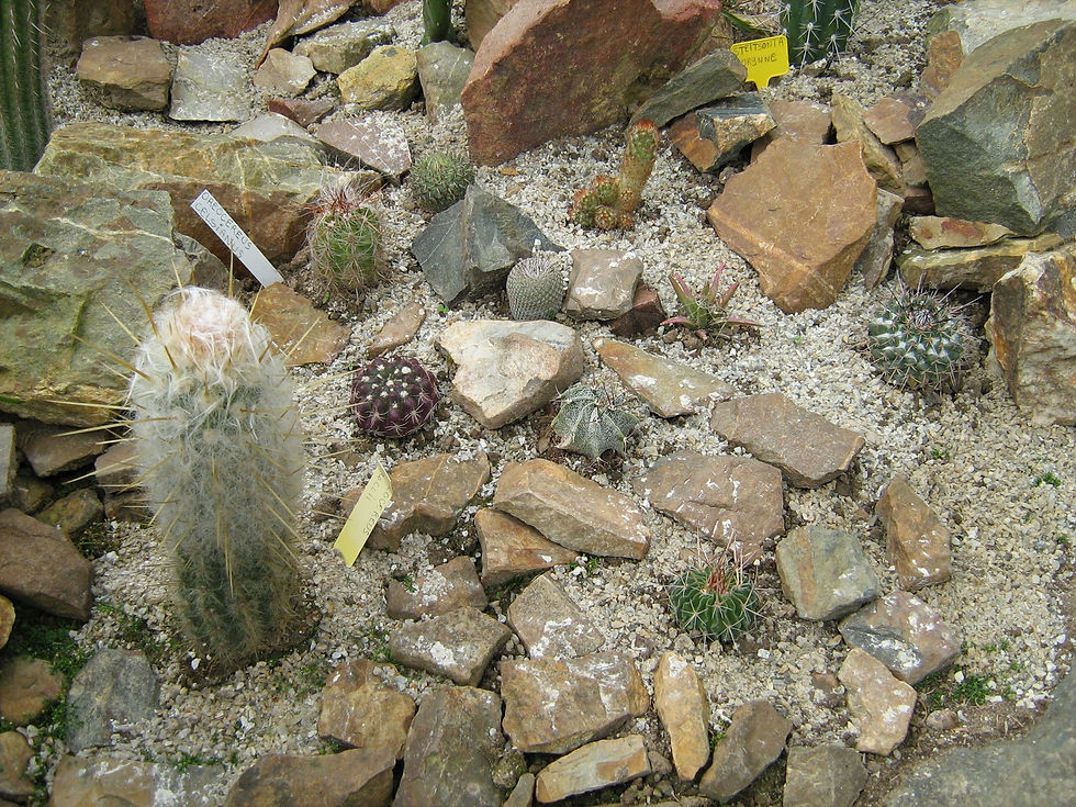 IMG_1326 [1600x1200 jpg].jpg