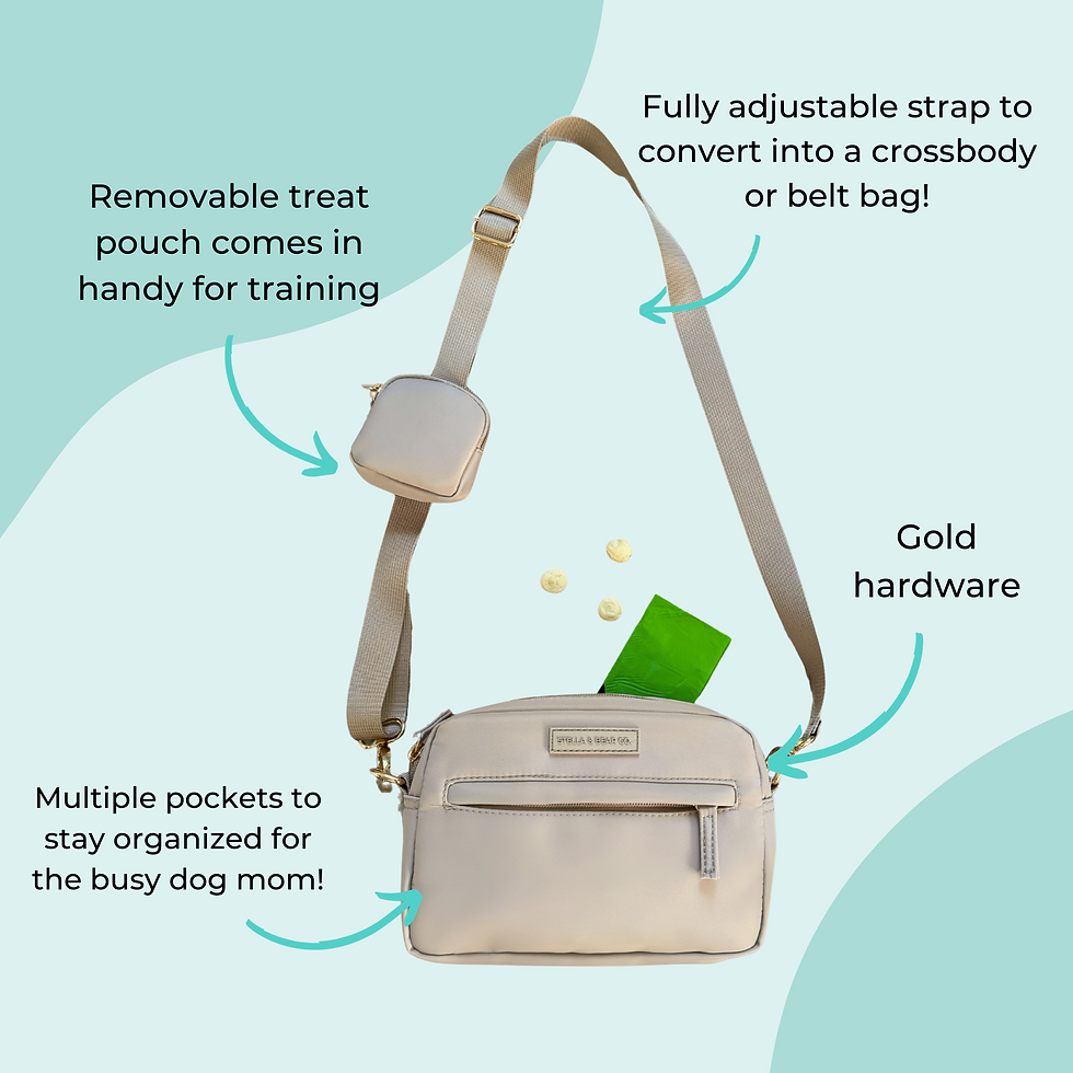 Thumbnail: Dog Walking Bag