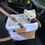 Thumbnail: Cozy Boost- Tan and White Booster Seat