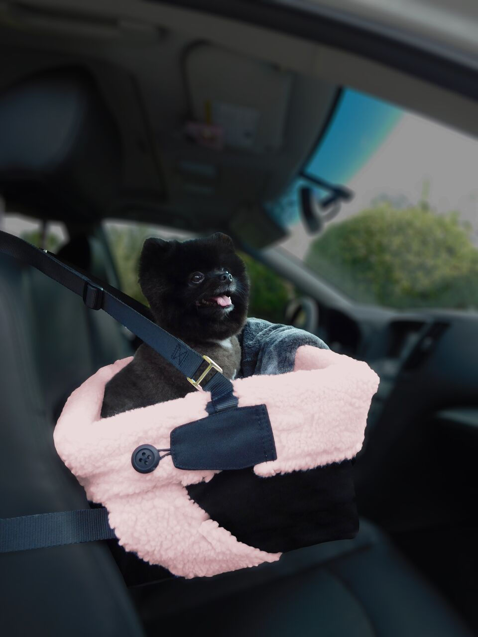 Thumbnail: Cozy Boost- Pink and Black