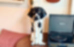 BANNER- CATEGORIA-SALA (2).jpg