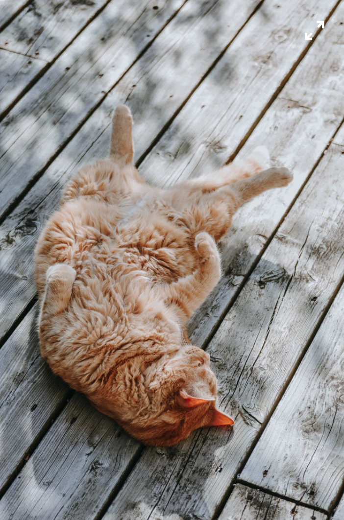 relaxation