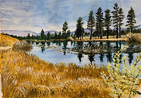 72947586-AAB3-4D2A-87DB-418758E7DAFB_1_1