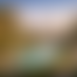 Sürdürülebilir Gayrimenkul Projeleri