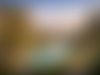 Sürdürülebilir Gayrimenkul Projeleri