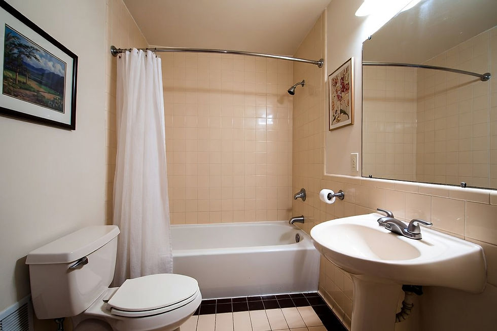 Bathroom Renovation Trends: How Bathrooms Have Changed Over the Years