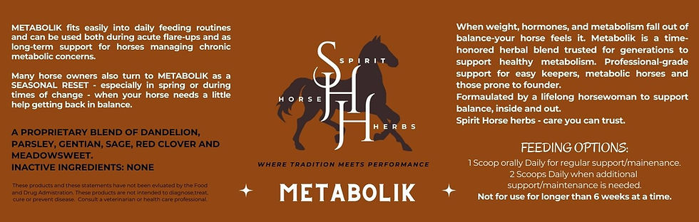 Thumbnail: Metabolik