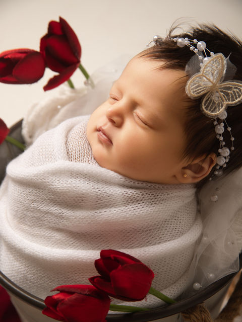ensaio família - newborn - recém nascido